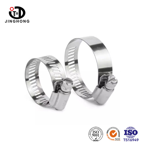 Kẹp sâu Drive DIN 3017 A2